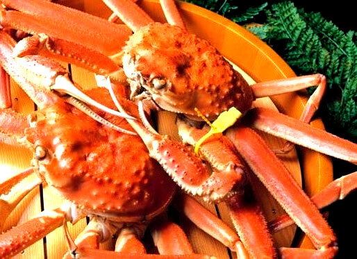 Echizen-gani crab (Fukui)