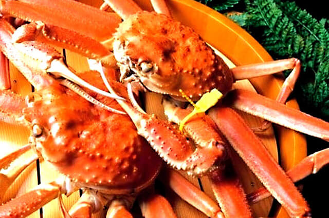 Echizen-gani crab (Fukui)