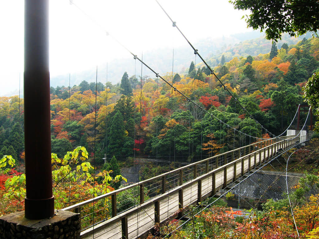 Shindoji bridge over Futasegawa mountain stream