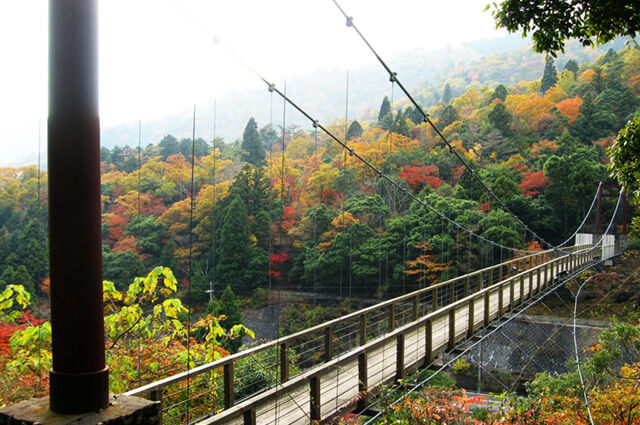 Shindoji bridge over Futasegawa mountain stream (Fukuchiyama city, Kyoto)