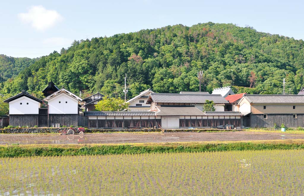 rice fields at Fukusumi district of Tamba-Sasayama